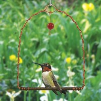 Hummingbird Copper Swing