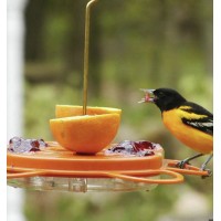 Oriole Feeder for nectar, jelly, and orange halves