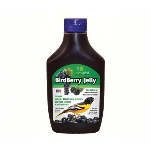 Birdberry Jelly For Orioles