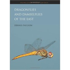 Dragonflies and Damselflies of the East Paperback – Illustrated