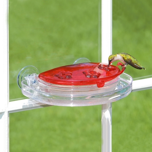 Mangeoire pour colibris en verre