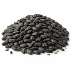 Tournesol noir (2,2kg)
