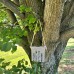 Suet Cake Bird Feeder - Earthy Sustainable