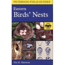 Eastern Birds' Nests