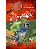 Oiseaux du Québec (Guide Jeunes explorateurs)