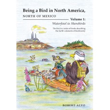 Being a Bird in North America