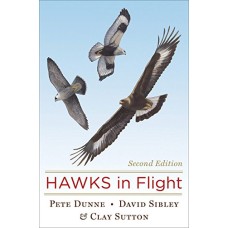 Hawks in Flight (2nd edition)