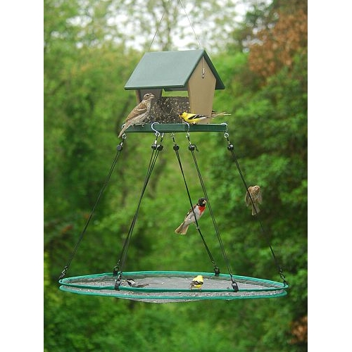 Seed Hoop 30