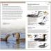 Pocket Birds of Canada - 2nd Edition