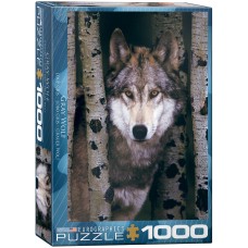 Puzzle 1000 pieces - Gray Wolf