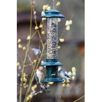 Squirrel Buster Évolution