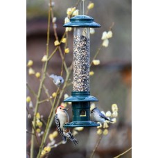 Squirrel Buster Evolution