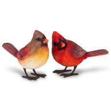 Couple de Cardinal rouge