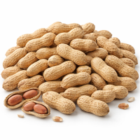 Arachides entières (1,5kg)