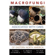 Macrofungi associated with oaks