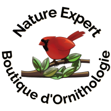 Sortie d’observation des oiseaux